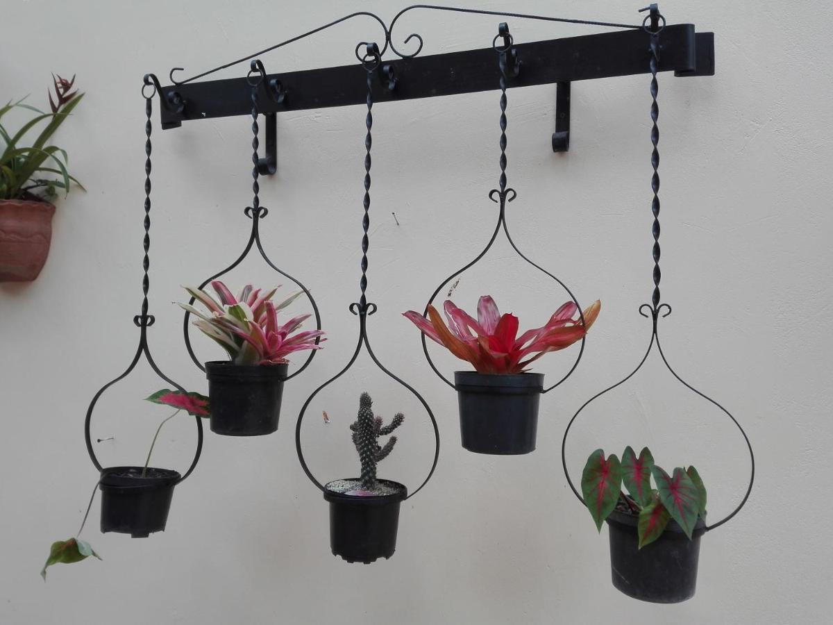 Mi Jardin Encantado Villa Esterno foto